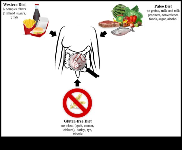 Dieta paleo și microbiomul intestinal o nouă frontieră